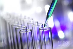 qPCR & SNP Genotyping