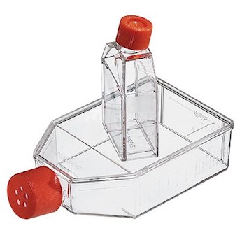 Cell Culture Flasks