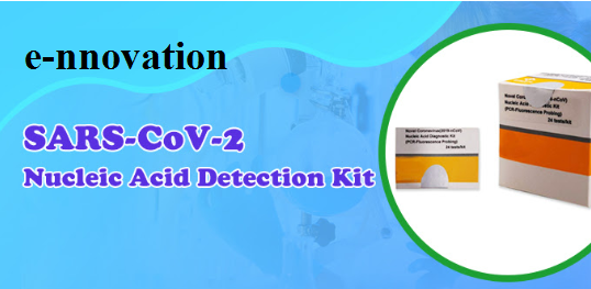 SARS-CoV-2 Detection Kit