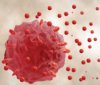 EXOCET Exosome Quantitation Kit