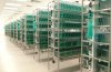 Zebrafish Housing Aquatic System